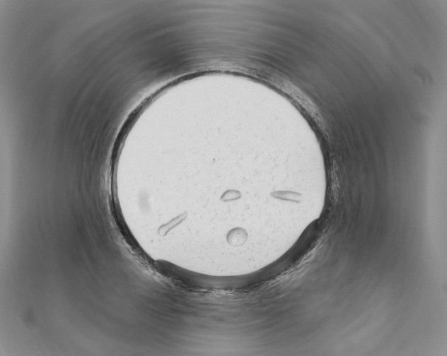 X0000110931028200907301619