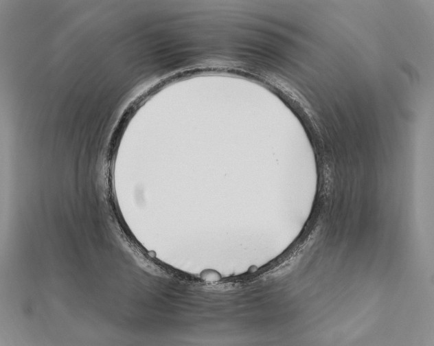 X0000110931029200907301619