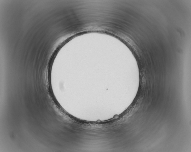 X0000110931030200907301619