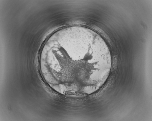 X0000110931031200907301619