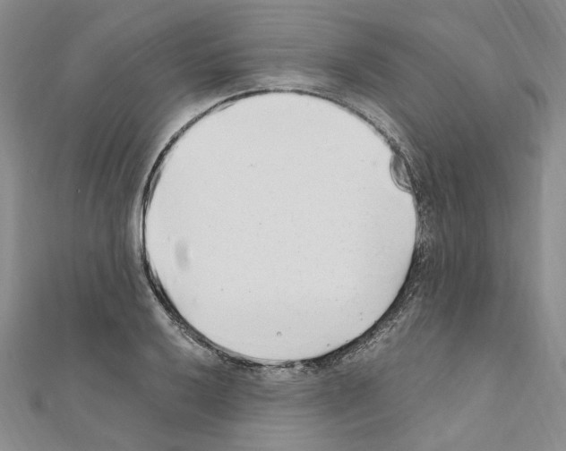 X0000110931032200907301619