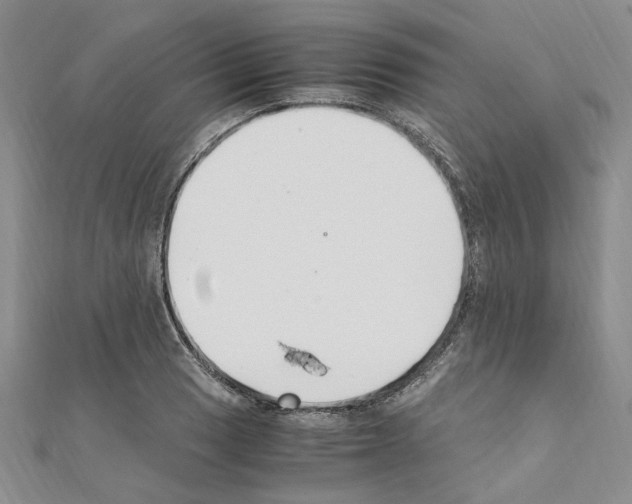 X0000110931033200907301619