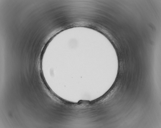 X0000110931034200907301619