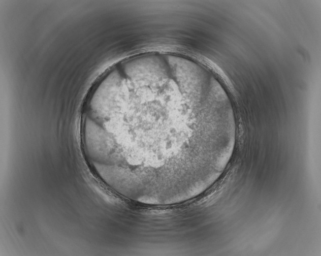X0000110931035200907301619