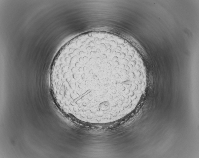 X0000110931036200907301619