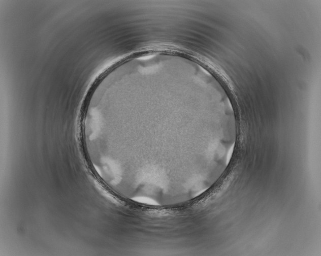X0000110931037200907301619