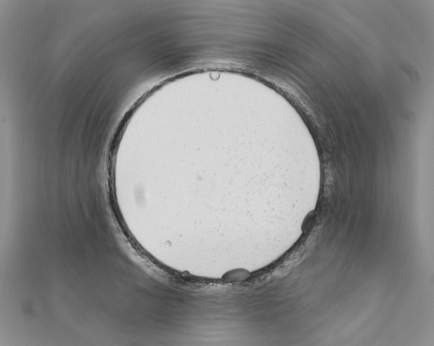 X0000110931038200907301619