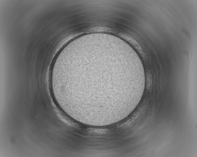 X0000110931039200907301619