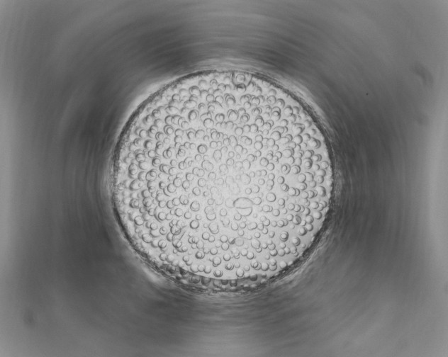 X0000110931040200907301619