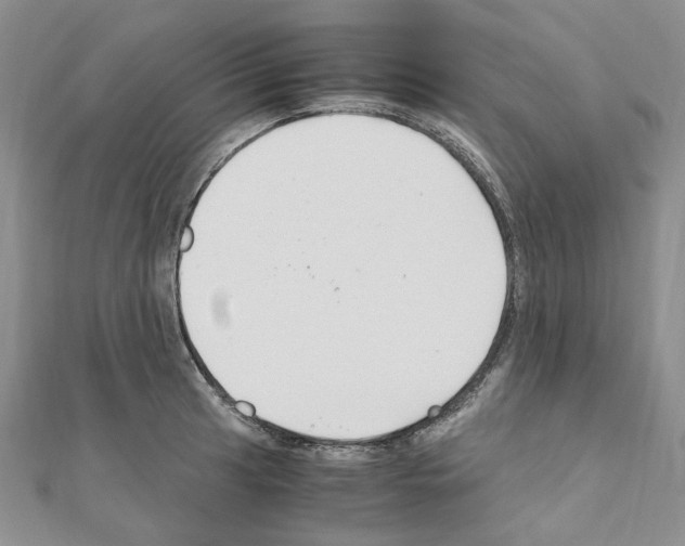 X0000110931041200907301619