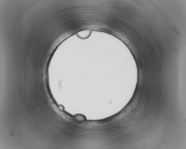 X0000110931042200907301619