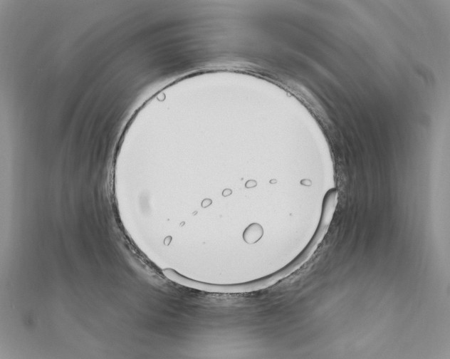 X0000110931044200907301619