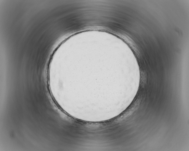 X0000110931046200907301619