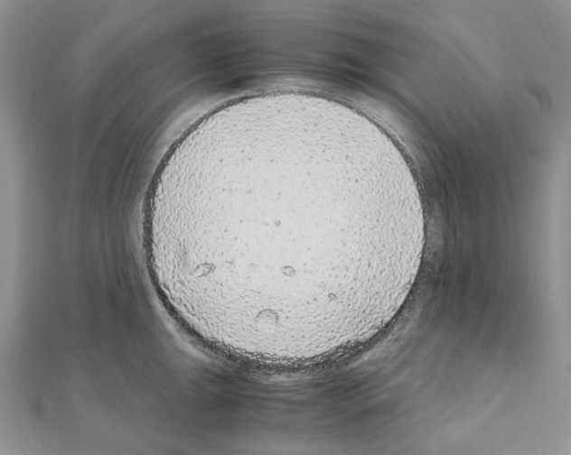 X0000110931047200907301619
