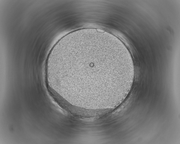 X0000110931048200907301619