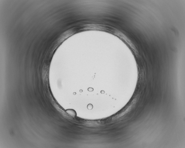 X0000110931049200907301619