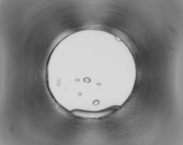X0000110931050200907301619