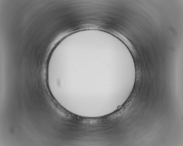 X0000110931051200907301619