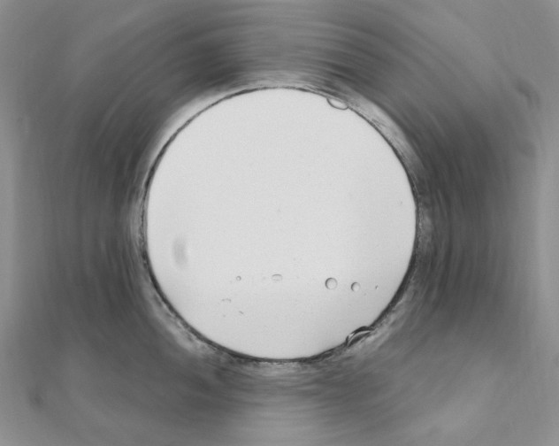 X0000110931052200907301619