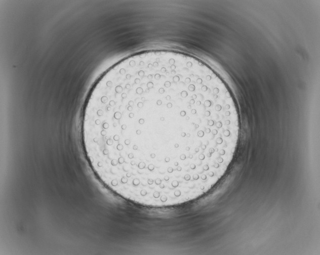 X0000110931053200907301619