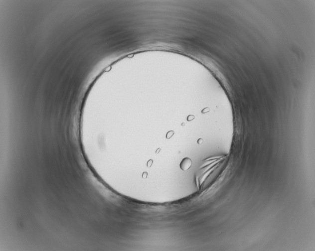 X0000110931054200907301619