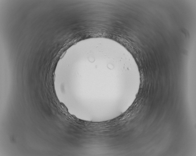 X0000110931057200907301619