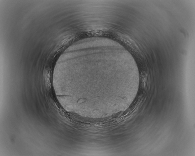 X0000110931060200907301619