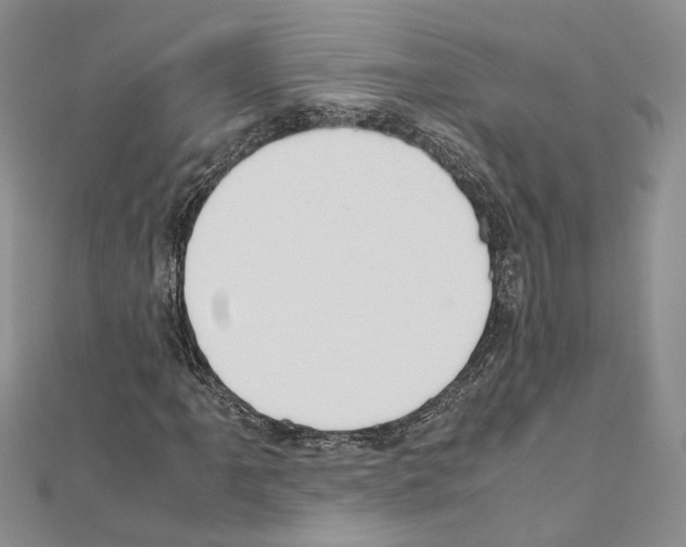 X0000110931061200907301619