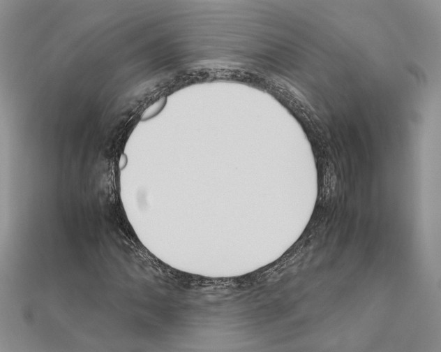 X0000110931062200907301619