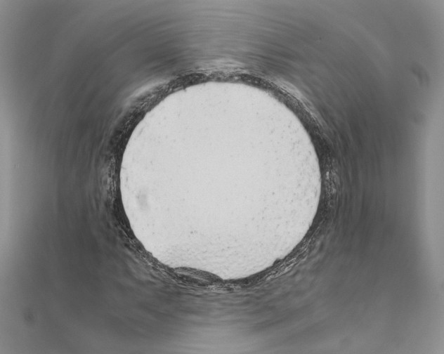 X0000110931063200907301619
