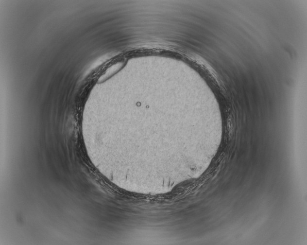 X0000110931064200907301619