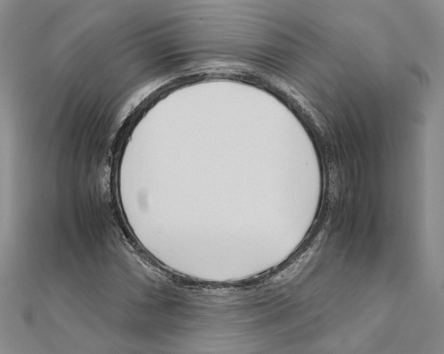 X0000110931066200907301619