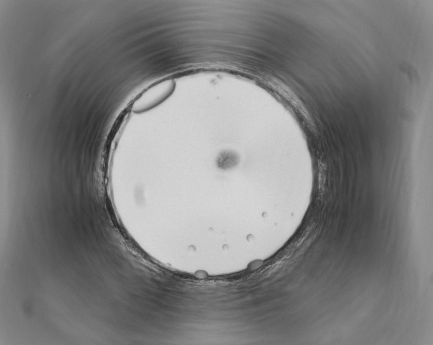 X0000110931068200907301619