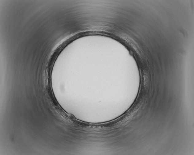X0000110931069200907301619