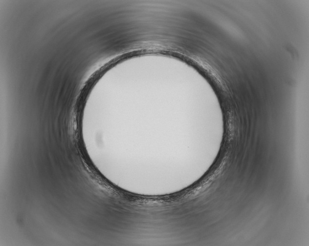 X0000110931070200907301619