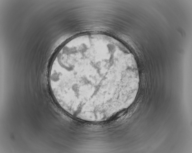 X0000110931071200907301619