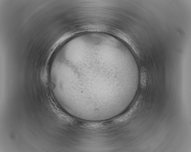 X0000110931074200907301619