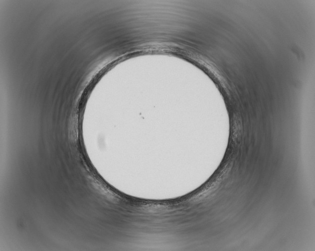 X0000110931075200907301619