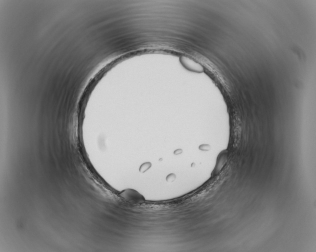 X0000110931076200907301619