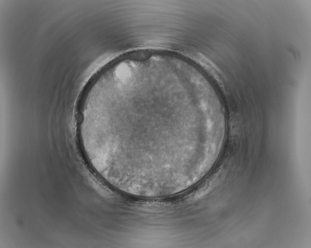 X0000110931077200907301619