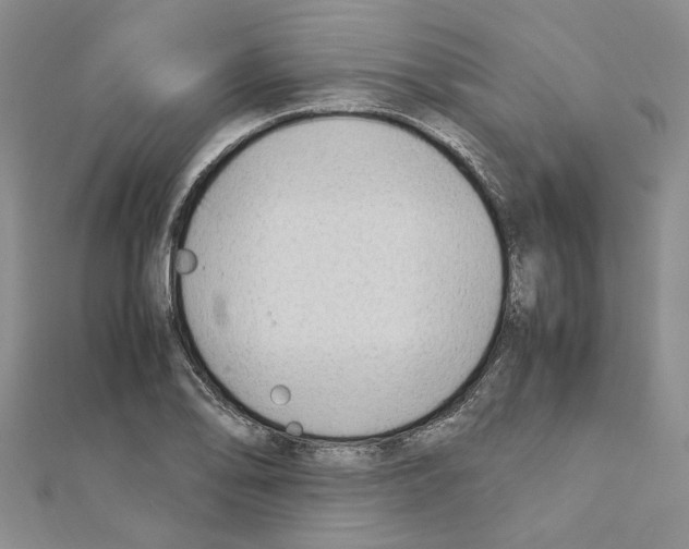X0000110931078200907301619