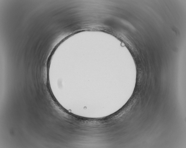 X0000110931079200907301619
