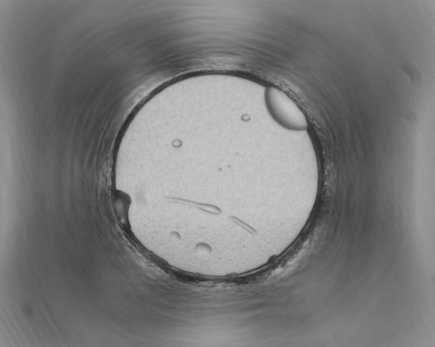 X0000110931081200907301619