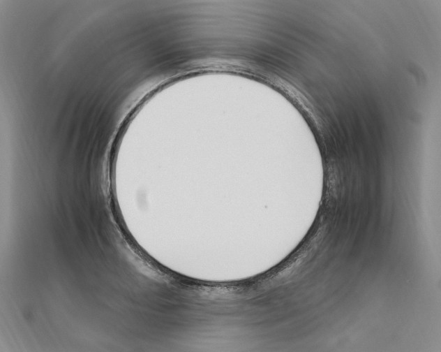 X0000110931082200907301619