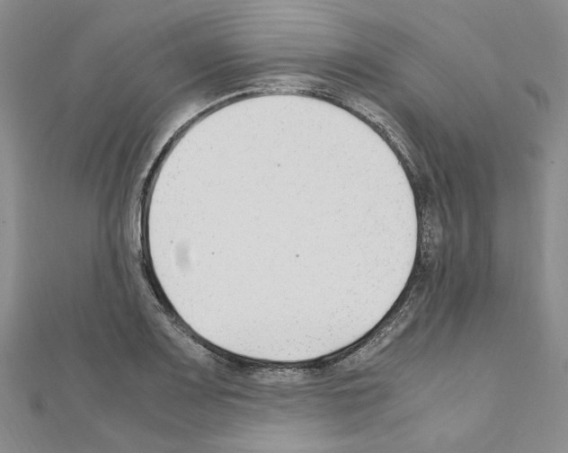 X0000110931083200907301618