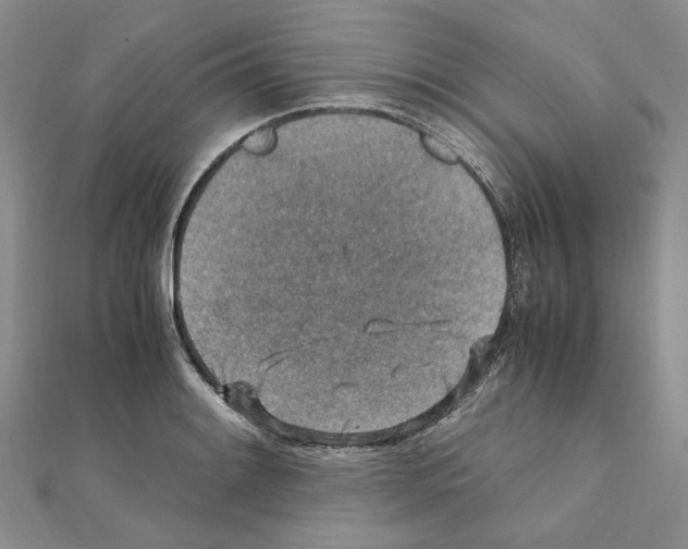 X0000110931084200907301618
