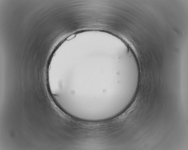 X0000110931085200907301618