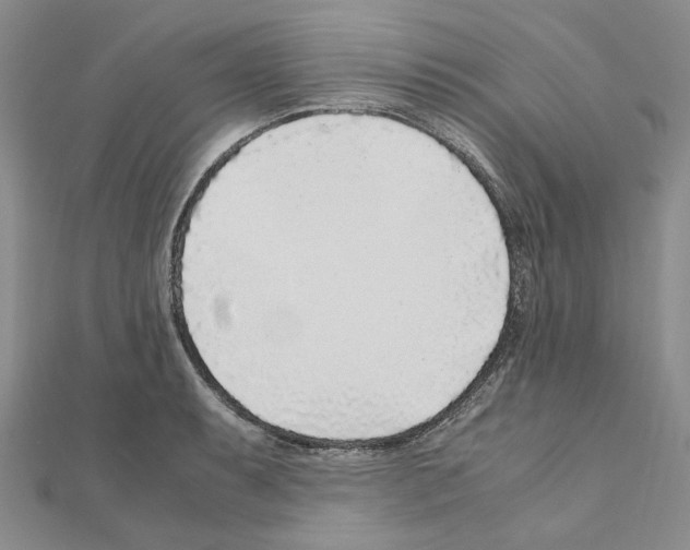 X0000110931087200907301618