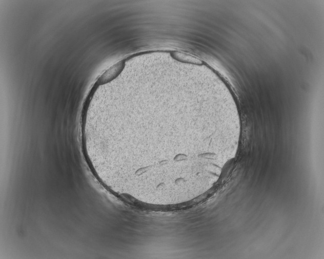 X0000110931088200907301618