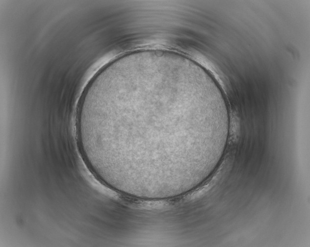 X0000110931090200907301618